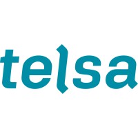 Telsa SA logo - Similar company to Alro Engineering Sa