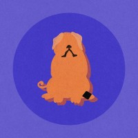 orthodogs logo - Similar company to Barkin Good