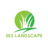 SES Landscape