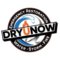 DRYUNOW, INC. logo - Similar company to Brewers Eco Clean - Carpet, Rug And Tile Cleaning Of Austin, Texas