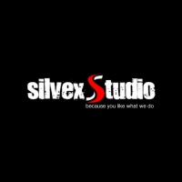 SilvexStudio logo - Similar company to Fiber It