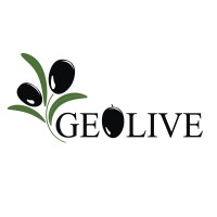 Geolive Olive logo - Similar company to J. Dell Advancement Group