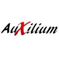 Auxilium Group logo - Similar company to Real Programming 4 Kids