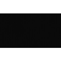 Black Lion Holdings Group logo - Similar company to Naimon Capital