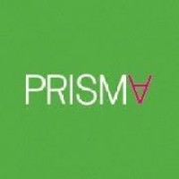 Prisma S.A. logo - Similar company to Tradécom