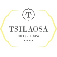 Tsilaosa Hôtel & Spa logo - Similar company to Solidaritart