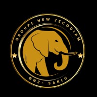 GROUPE NEW ZECODIAM logo - Similar company to Digitalway