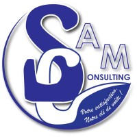 CABINET SAM CONSULTING logo - Similar company to Sam Consulting Services
