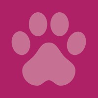 Rumford Pet Express logo - Similar company to Etailpet