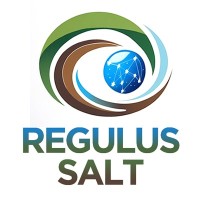 Regulus Salt logo - Similar company to Colegio Mariano Moreno