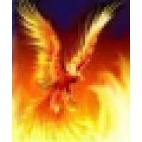 Phoenix IT MOS logo - Similar company to Fpb Distribution Group Srl