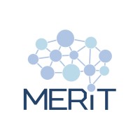 Digital MERIT logo - Similar company to Will Engineering Gmbh