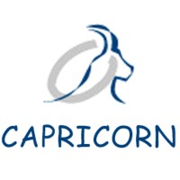 NET CAPRICORN - International Advertising Agency Multiculicultural and Multichannel logo - Similar company to Advertising & Media Advisors