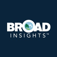 Broad Insights logo - Similar company to Solutions Itw