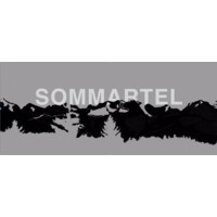 Sommartel Ltd. logo - Similar company to The Big Exit