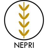 NEPRI FINANCE logo - Similar company to Mansar