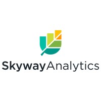 Skyway Analytics logo - Similar company to Sandy Scott Coaching Group