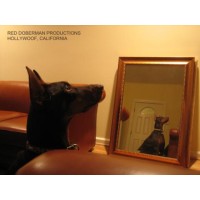 Red Doberman Entertainment