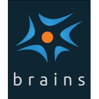 Brains logo - Similar company to Rems Llc