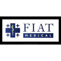 Fiat Medical logo - Similar company to Sole Solutions, Inc.