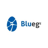 Bluegg logo - Similar company to Blueegg
