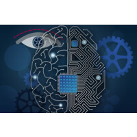 Wired-Mind Labs, Llc