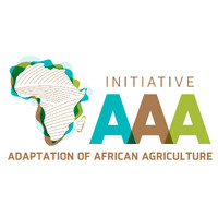 AAA Initiative logo - Similar company to Positive Agenda Advisory