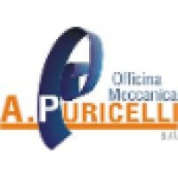 Officina Meccanica A. Puricelli srl - Società Unipersonale - Drilling tubesheets for heat exchangers logo - Similar company to Tianjin Free Optic Photoelectric Technology Co.,Ltd.