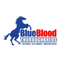 Blueblood Thoroughbreds logo - Similar company to Edge Thoroughbreds