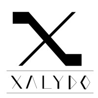 Xalydo Furniture Private Limited logo - Similar company to Kaushik Enterprises
