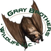 Gray Brothers Wildlife logo - Similar company to Wild Bird Research Group