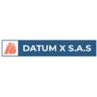 DATUM X S.A.S logo - Similar company to Dataum
