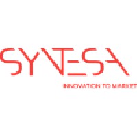 Syntesa Partners & Associates