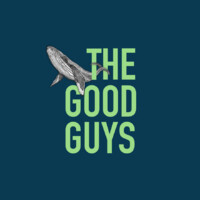 The Good Guys logo - Similar company to Anvation Digital Marketing