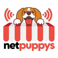 Netpuppys logo - Similar company to Digitryx