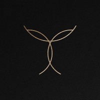 Transcend Specialized Dentistry logo - Similar company to Maple Synapse