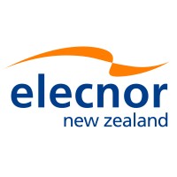 Elecnor New Zealand logo - Similar company to Carpentry