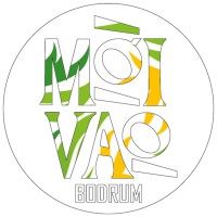 Moi Vao Bodrum logo - Similar company to Paşa Çeşme