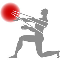 Albany Advanced Imaging LLC logo - Similar company to Pliik