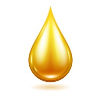 JUST LUBES logo - Similar company to N