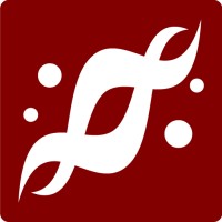 Pivot Biomedical Engineering Limited logo - Similar company to Hong Kong Wordpress Meetup