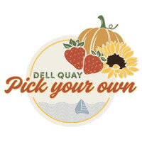 Dell Quay PYO logo - Similar company to Cullens Solar Solutions