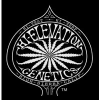 Hi-Elevation Genetics LLC logo - Similar company to Vd Plant