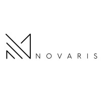 Novaris Conseils logo - Similar company to Lhl Associés