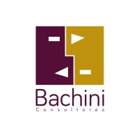 Bachini Consultores logo - Similar company to Botisol - Supply Chain Solutions