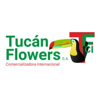 Tucán Flowers