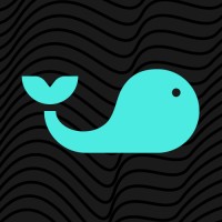 Splash Inc. logo - Similar company to Ultimate Odds
