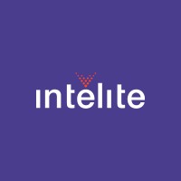 Intélite Mx logo - Similar company to Gocloud Business