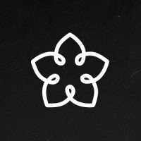 Stars Align logo - Similar company to Within.Vc