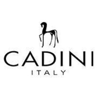 Cadini India logo - Similar company to Sipnpop